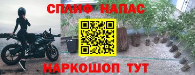мет Гай